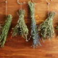 herbes de fertilité