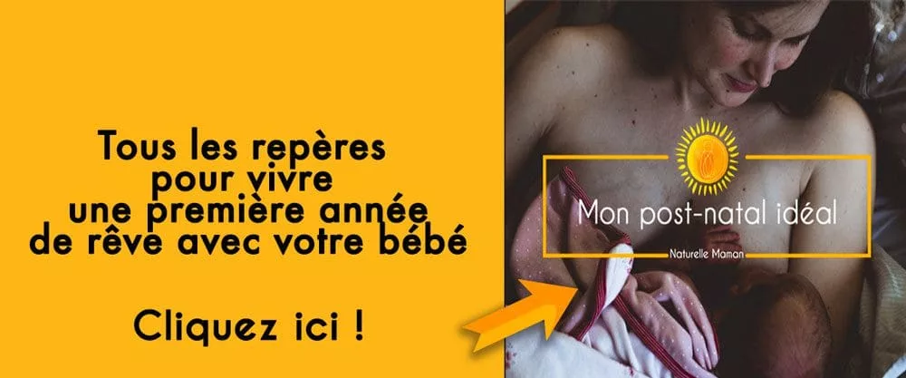 Programme pour un post-natal idéal : tous les conseils pour bien vivre le post-partum, l'allaitement et la première année de bébé