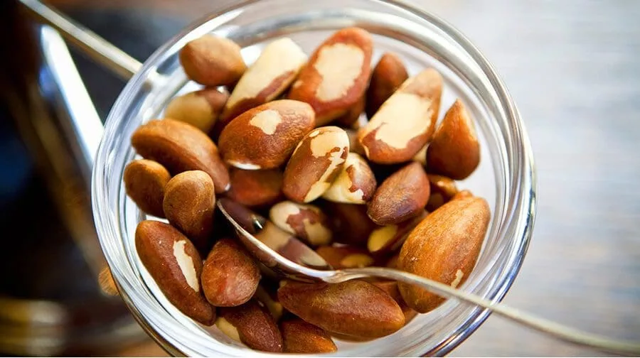 La noix du brésil fait partie des super-aliments pour la fertilité