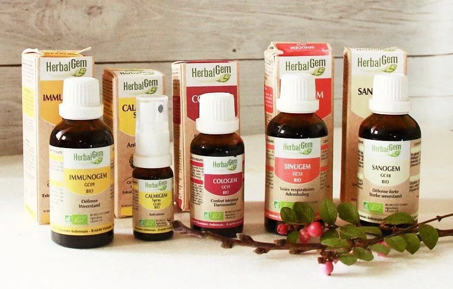 Gemmothérapie pour la fertilité : 3 bourgeons pour booster vos chances de grossesse