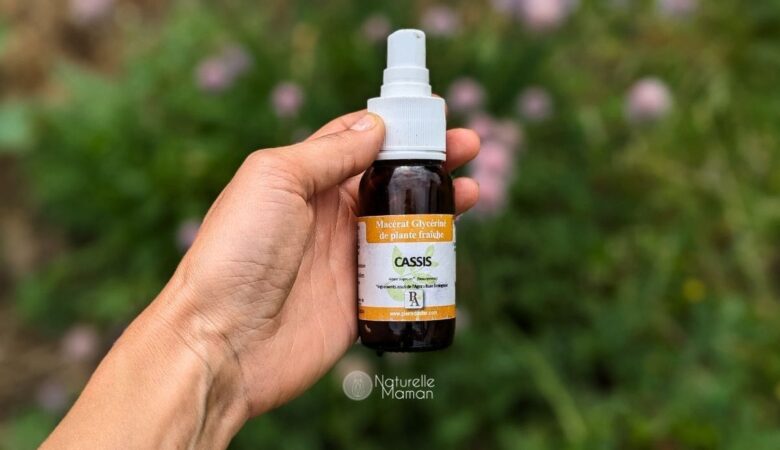 La gemmothérapie pour enfants : comment les soigner avec ces nectars de principe actifs ?