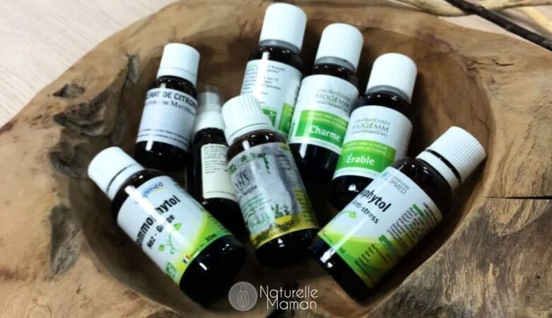 Il existe des macérats de bourgeons de plantes sans alcool pour les enfants - Naturelle Maman