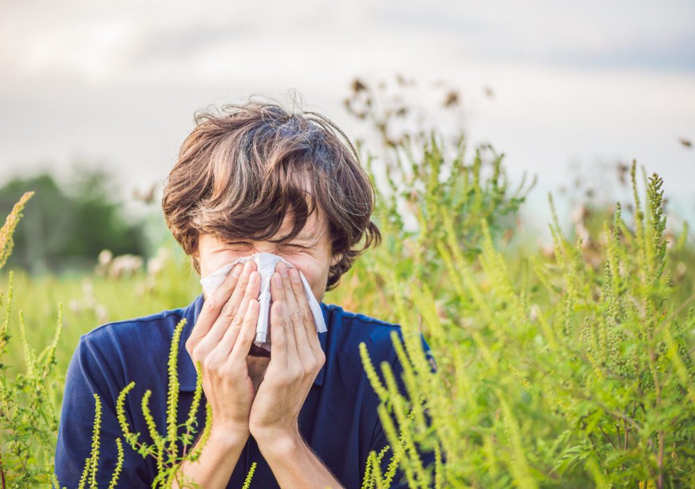 Comment prévenir et soigner les allergies saisonnières des enfants avec les solutions naturelles conseillées par Naturelle Maman