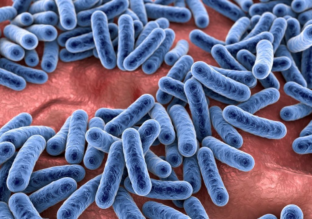 Lien entre microbiote et fertilité - Naturelle Maman