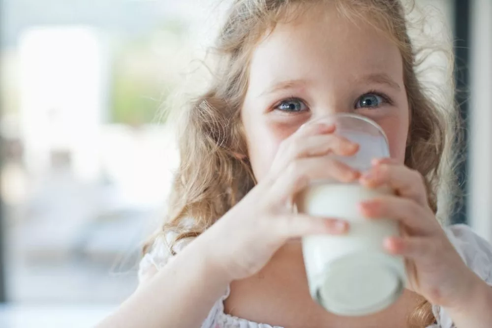 Les dangers possible d'une consommation excessive de lait sur la santé des enfants - Naturelle maman