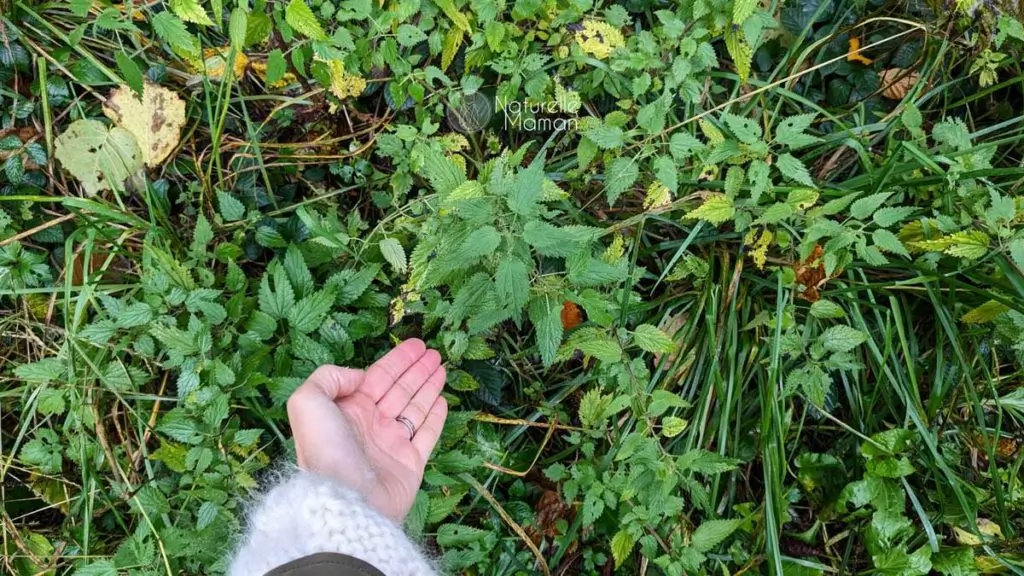 5 remèdes naturels contre les allergies saisonnières pendant la grossesse