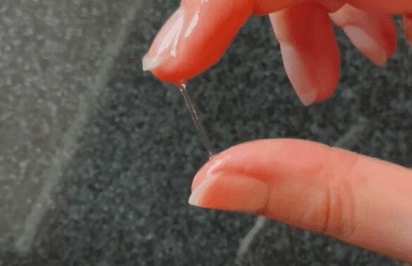 Observation de la glaire cervicale pour améliorer sa fertilité - Naturelle Maman