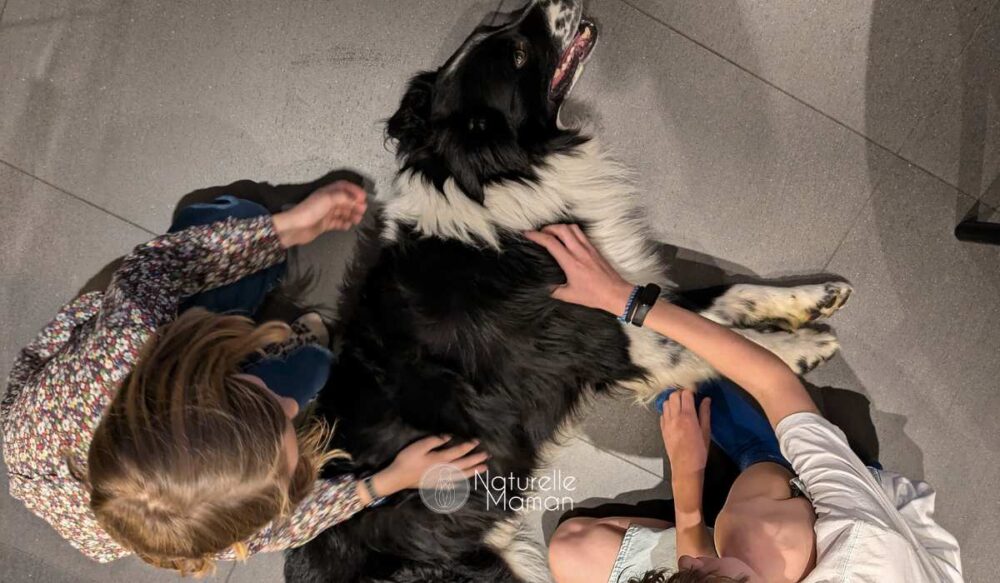 Avoir un chien ou un chat rend les enfants plus heureux et en meilleure santé - Naturelle Maman
