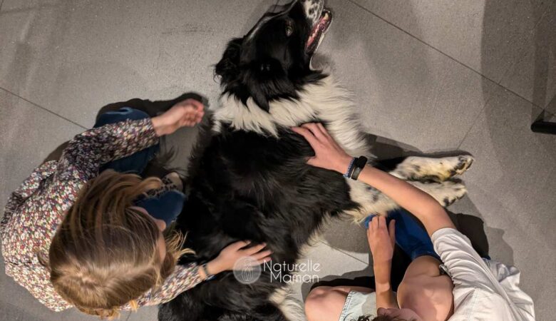Avoir un chien ou un chat rend les enfants plus heureux et en meilleure santé - Naturelle Maman