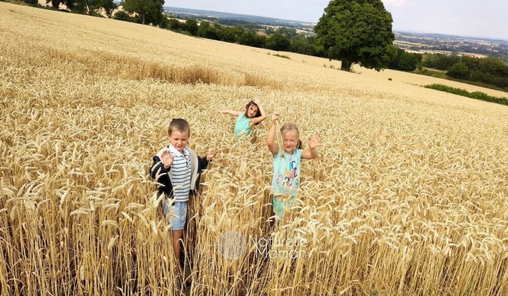 Comment réduire l'exposition des enfants au cadmium ? Découvrez des pistes concrètes pour protéger leur santé.
