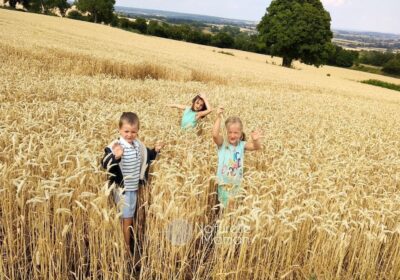 Comment réduire l'exposition des enfants au cadmium ? Découvrez des pistes concrètes pour protéger leur santé.