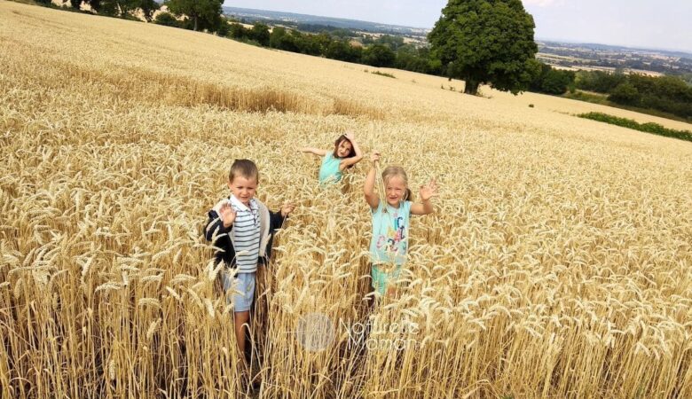 Comment réduire l'exposition des enfants au cadmium ? Découvrez des pistes concrètes pour protéger leur santé.