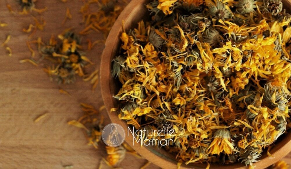 Le calendula favorise la récupération du périnée après l'accouchement - Photo de Naturelle Maman