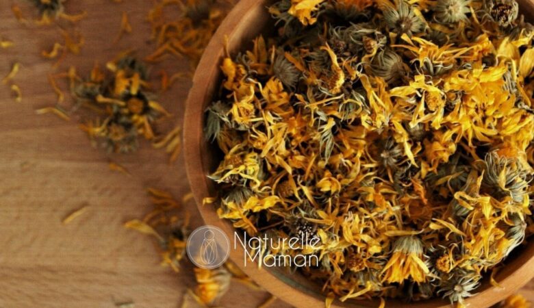 Le calendula favorise la récupération du périnée après l'accouchement - Photo de Naturelle Maman
