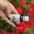 Sources naturelles de vitamine D : poissons gras comme le saumon ou la sardine, œufs et huiles enrichies, mais ces apports alimentaires restent insuffisants pour couvrir les besoins des enfants.