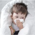 Les effets des probiotiques chez les enfants : ces 3 souches pourraient réduire la durée de la fièvre de 2 jours chez les enfants malades